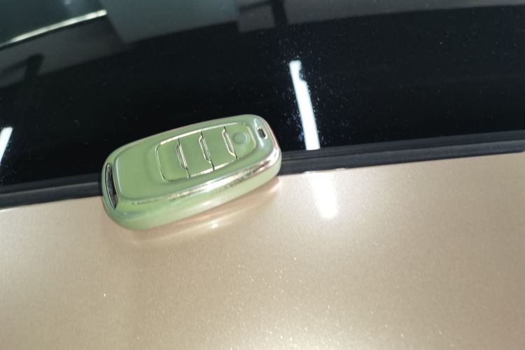 红旗H9 2022款 2.0T 智联旗享版中控内饰7001