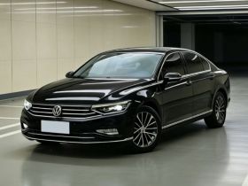 大众 迈腾 2020款 330TSI DSG 豪华型