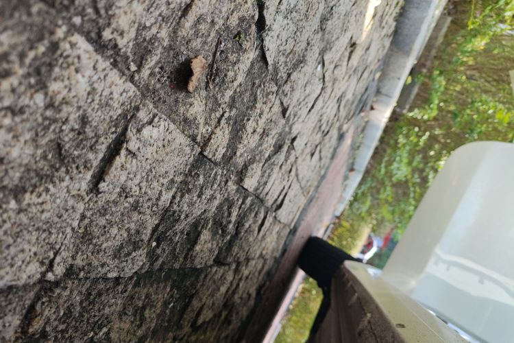 别克 英朗 2021款 改款 典范 1.5L 自动精英型局部细节9001