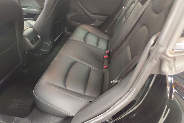 特斯拉 Model 3 2020款 改款 标准续航后驱升级版中控内饰21