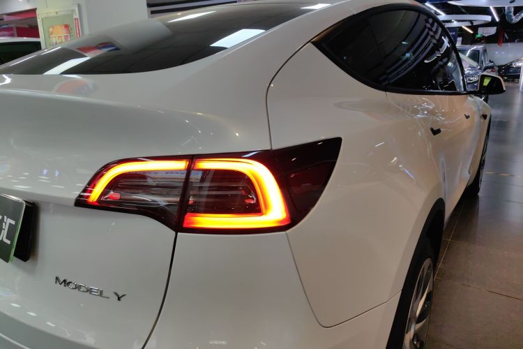特斯拉 Model Y 2021款 长续航全轮驱动版车身外观9