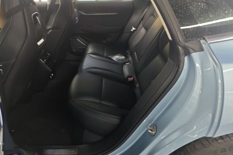 极氪001 2021款 超长续航单电机 WE版中控内饰21