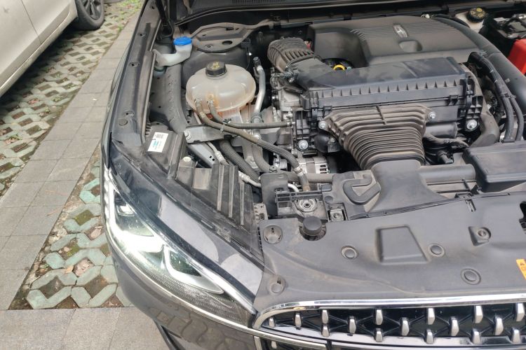 林肯 冒险家 2023款 2.0T 两驱尊享版局部细节9006