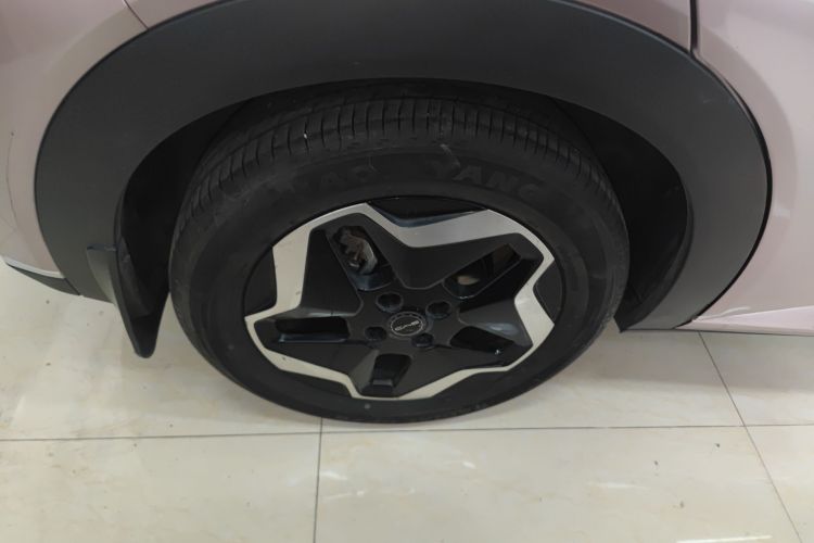 比亚迪 海豚 2021款 405km 时尚版车身外观6008