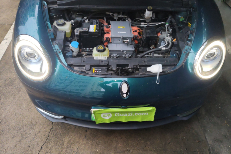 欧拉好猫 2021款 400km标准续航 维纳斯版 磷酸铁锂局部细节24