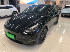 特斯拉 Model Y 2021款 标准续航后驱版