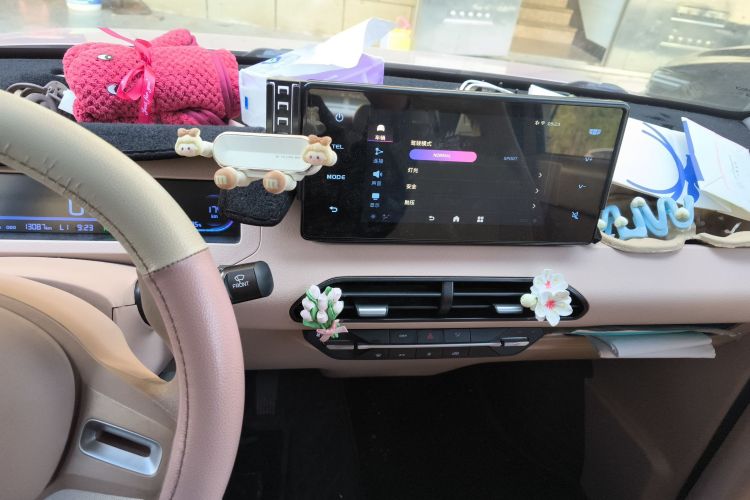 吉利银河 2023款 熊猫mini 200km 耐力熊中控内饰16