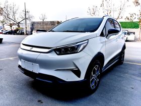 比亚迪 元Pro 2021款 一生一世版