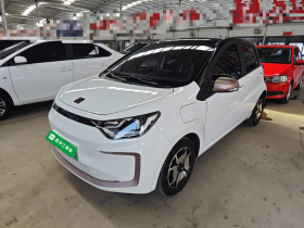 思皓 2022款 花仙子款 满天星