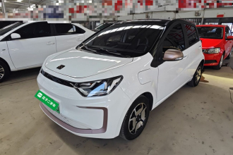 思皓 2022款 花仙子款 满天星