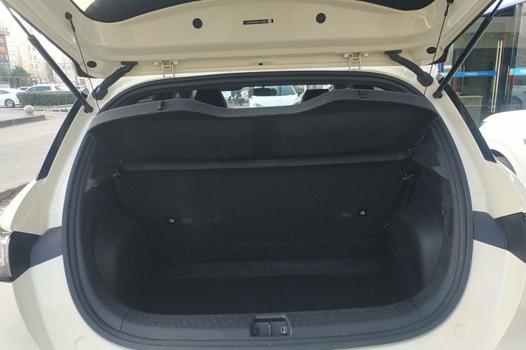 比亚迪 海豚 2023款 420km 自由版机舱底盘23