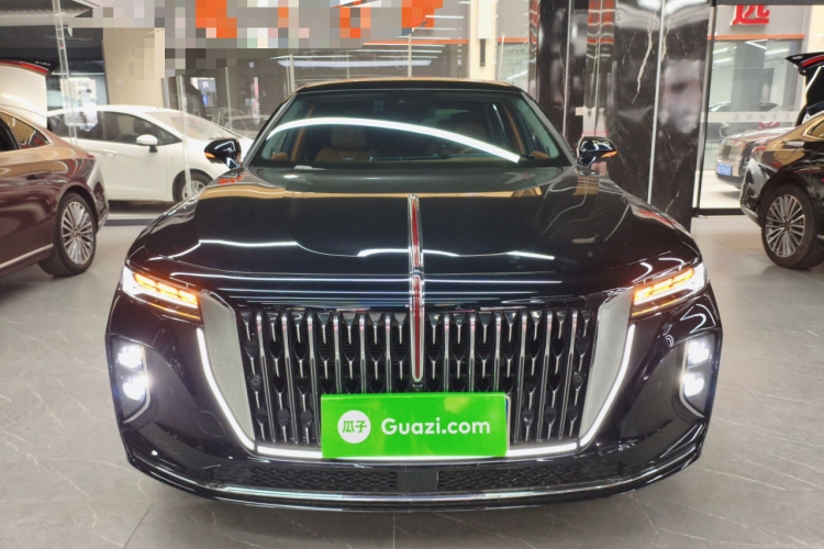 红旗H9 2025款 2.0T 两驱旗享豪华商务版 5座车身外观2