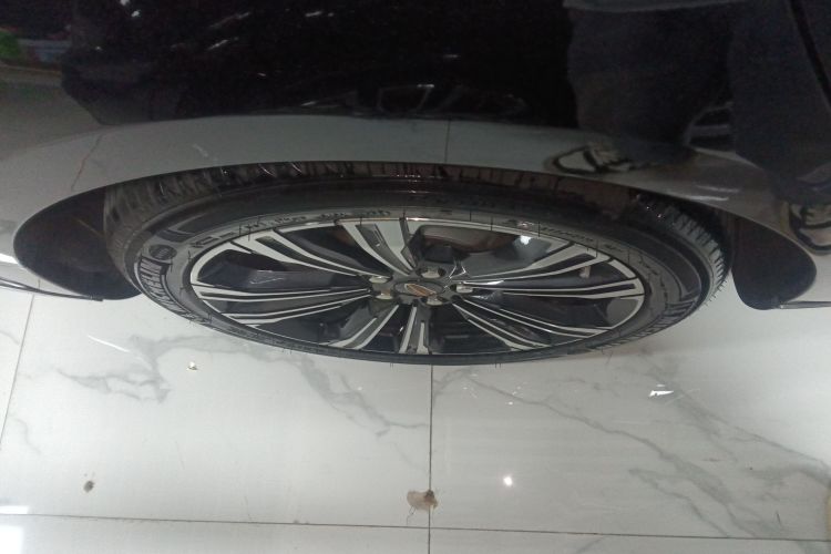 红旗H9 2024款 2.0T 旗畅 私享风尚版车身外观6008