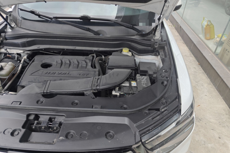 哈弗H6 2021款 国潮版 1.5T 自动都市版局部细节9007