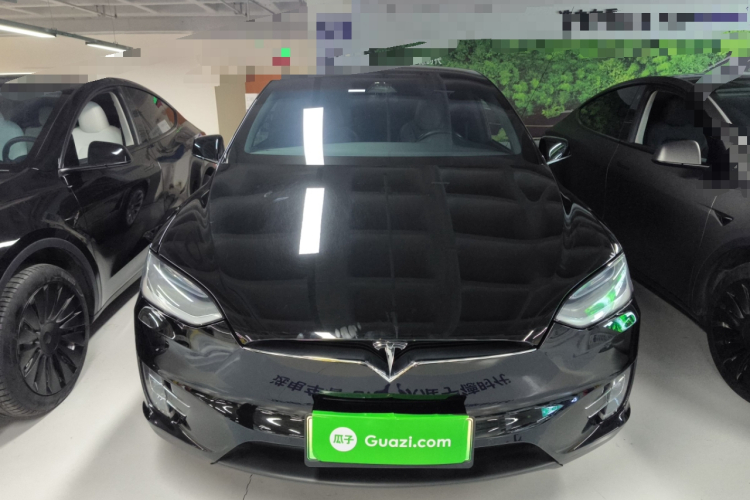 特斯拉 Model X 2019款 长续航版车身外观2