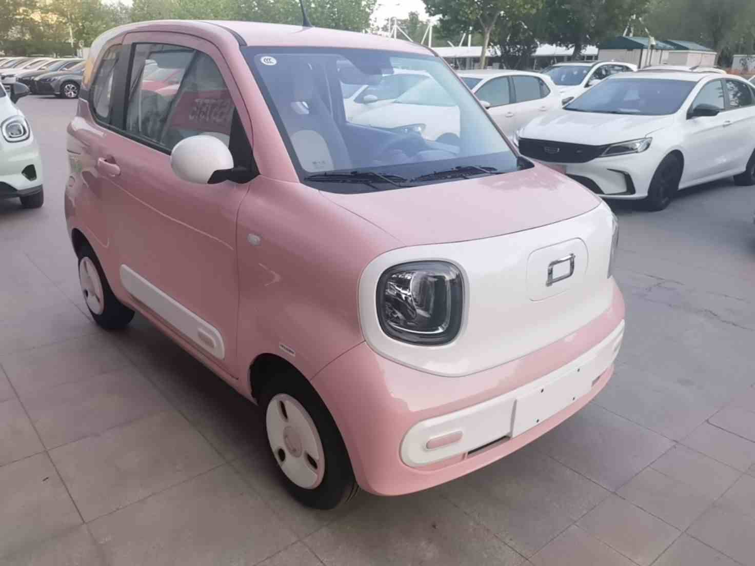 奔腾小马 2024款 170km 活力马(5)