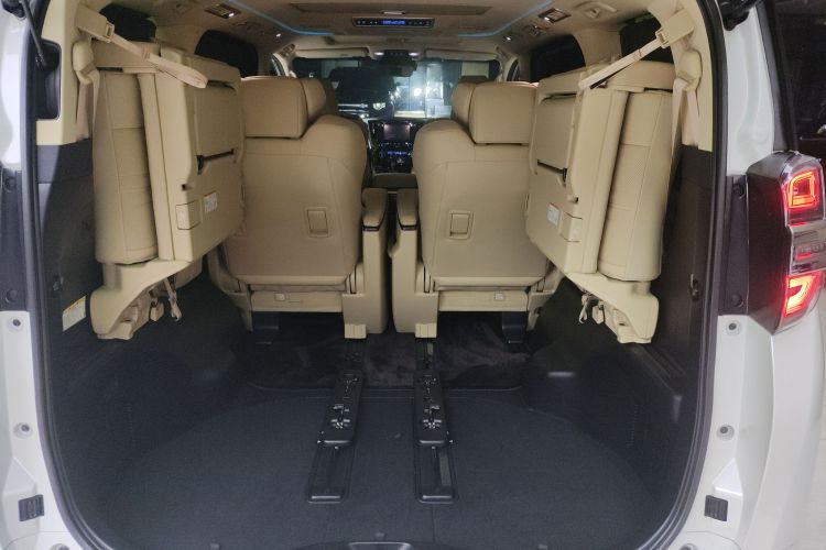 丰田 威尔法 2019款 双擎 2.5L HV尊贵版机舱底盘23