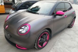 欧拉好猫 2023款 401km标准续航 豪华型 磷酸铁锂