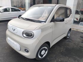 五菱汽车 宏光MINIEV 2024款 第三代 215km 青春版