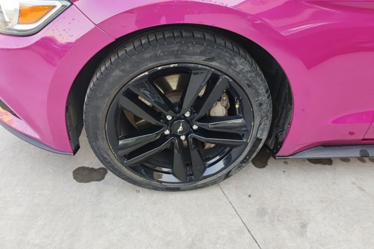 福特Mustang（平行进口） 车身外观6002