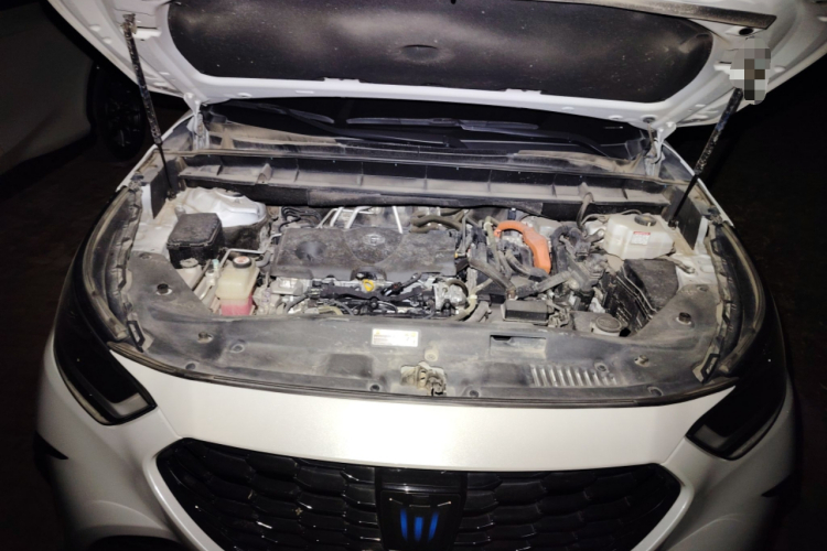 丰田 皇冠陆放 2021款 2.5L HEV四驱尊贵版局部细节24