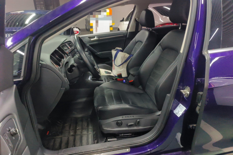 大众 高尔夫 2018款  230TSI 自动豪华型局部细节19