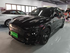 福特电马 2021款 无疆后驱豪华版(长续航)