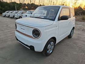 吉利银河 2024款 熊猫mini 200km 耐力熊