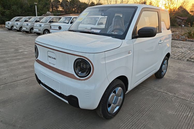 吉利银河 2024款 熊猫mini 200km 耐力熊车身外观1