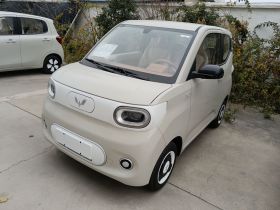 五菱汽车 宏光MINIEV 2024款 第三代 215km 青春版