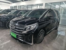 广汽传祺 传祺M8 2021款 领秀系列 390T 尊贵版