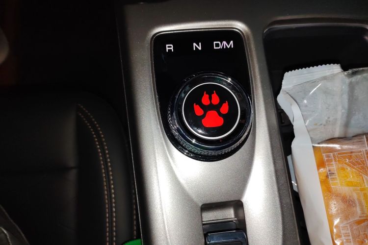 哈弗大狗 2024款 1.5T DCT边牧版中控内饰18