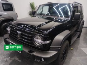 坦克300 2024款 2.0T 挑战者