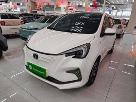 长安欧尚 奔奔E-Star 2020款 心悦版 三元锂