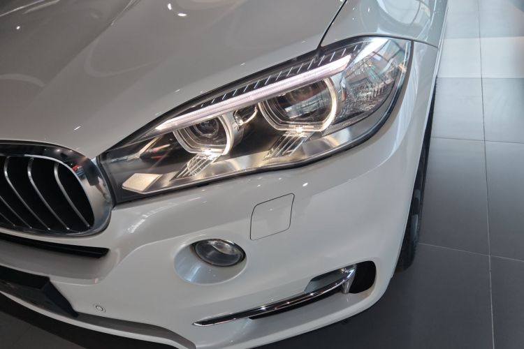 宝马X5(进口) 2017款 xDrive35i 典雅型局部细节36