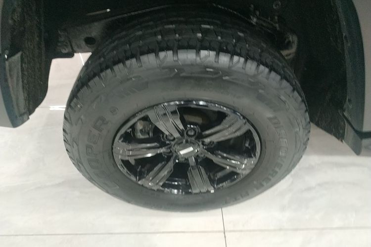 坦克300 2021款 越野版 2.0T 征服者车身外观6008