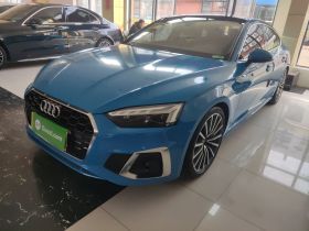 奥迪A5 2021款 Sportback 40 TFSI quattro 豪华致雅型