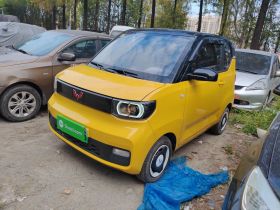 五菱汽车 宏光MINIEV 2021款 马卡龙时尚款 三元锂