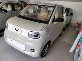 五菱汽车 宏光MINIEV 2024款 第三代 215km 青春版