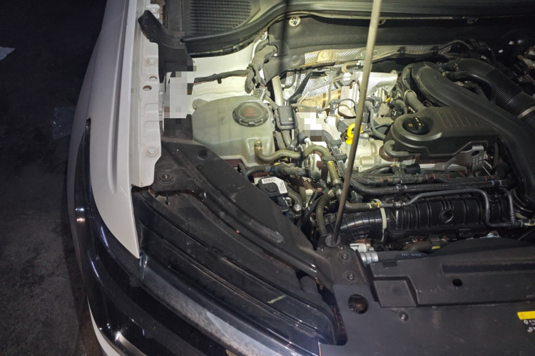 大众 途岳 2023款 300TSI 两驱皎月版局部细节9006