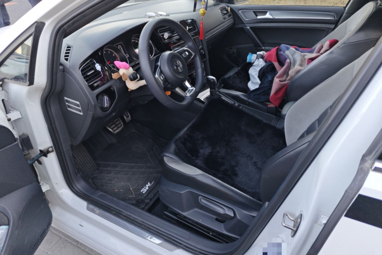 大众 高尔夫 2016款 1.4TSI 自动R-Line中控内饰20