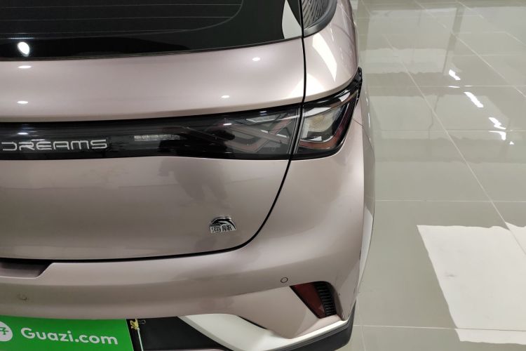 比亚迪 海豚 2021款 401km 骑士版车身外观9