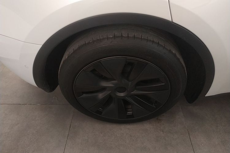 特斯拉 Model Y 2023款 后轮驱动版车身外观6008