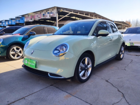 欧拉好猫 2023款 401km标准续航 尊荣型 磷酸铁锂