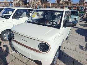 吉利银河 2024款 熊猫mini 200km 耐力熊