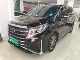 广汽传祺 传祺M8 2023款 领秀系列 390T 尊贵版