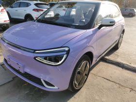 东风纳米 纳米01 2024款 焕新版 330 Plus智+