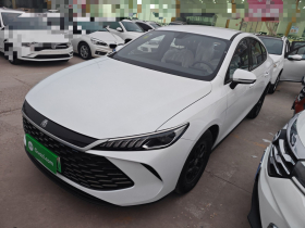 比亚迪 秦PLUS 2025款 DM-i 智驾版 55KM领先型