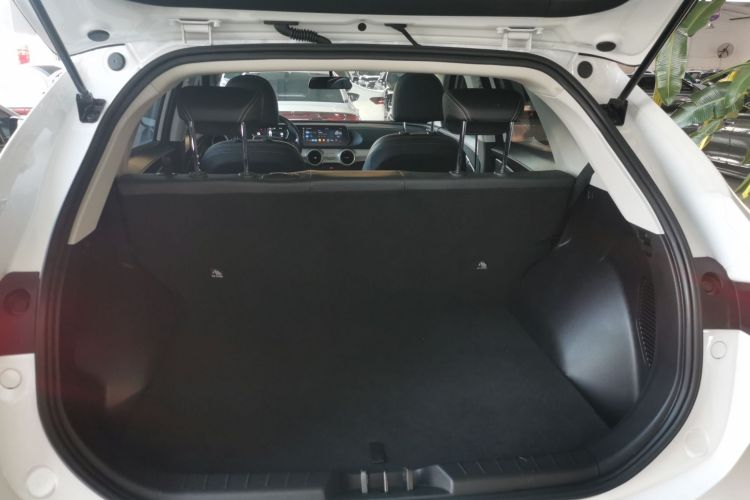 东风风行 风行雷霆 2024款 410+局部细节23