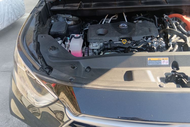 丰田 汉兰达 2024款 2.5L智能电混双擎四驱尊贵版 7座局部细节9006